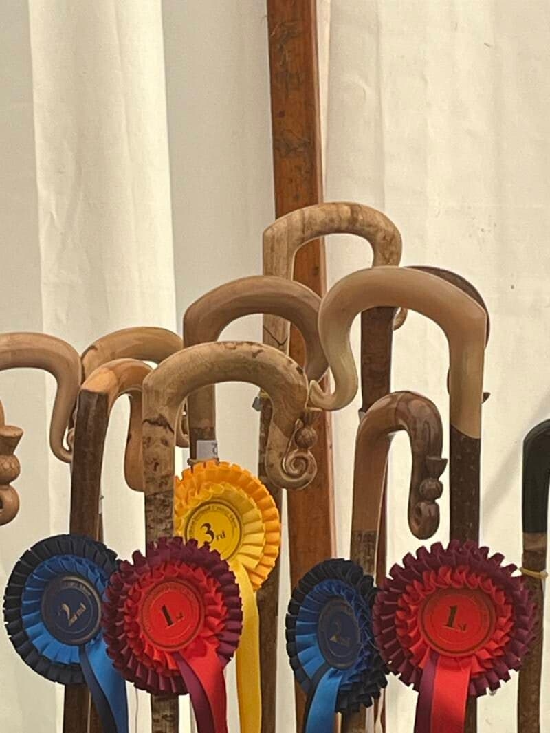 A handmade walking stick with a carved horn crook, photographed against a warm background